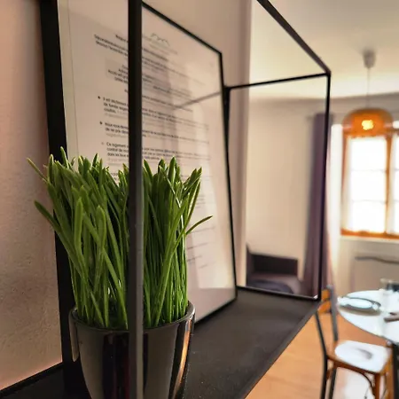 Confidence Hyper Centre Calme - Sejouraixlesbains Apartment *